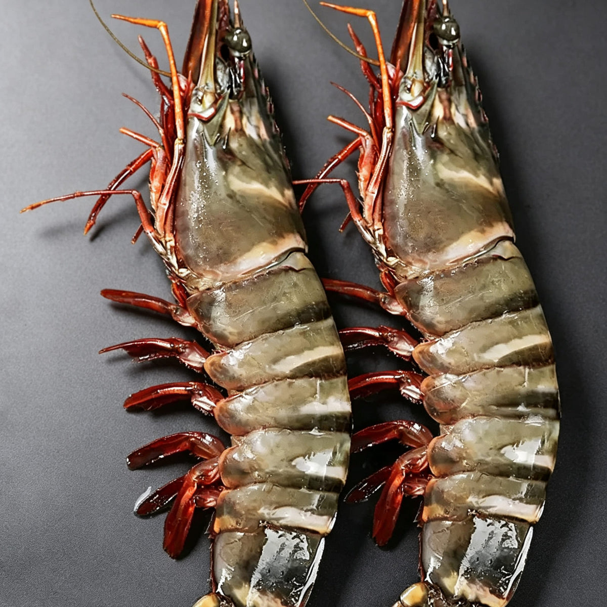 Frozen Giant Black Tiger Prawns